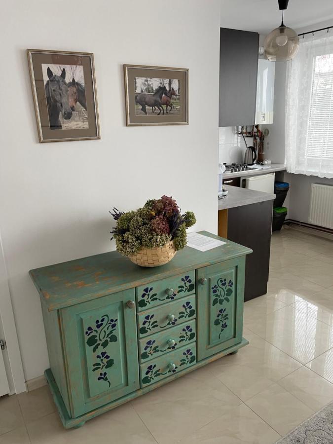 Apartamenty Cud Miod كروسنو المظهر الخارجي الصورة